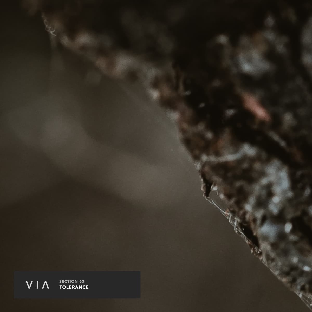 Section 63 - Tolerance [VIA010]