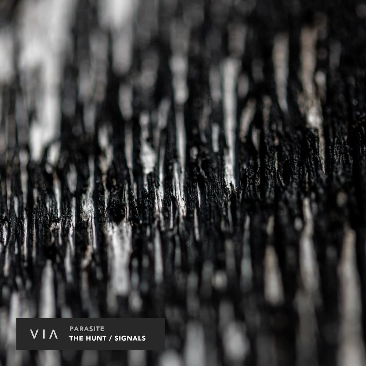 Parasite - The Hunt / Signals [VIA011]