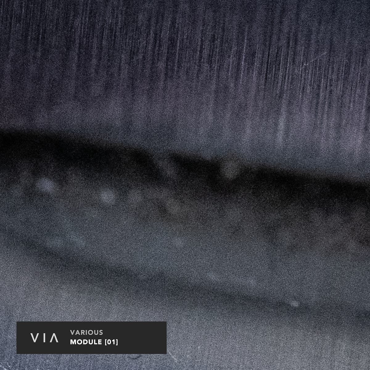 Various - MODULE [01] [VIA012]